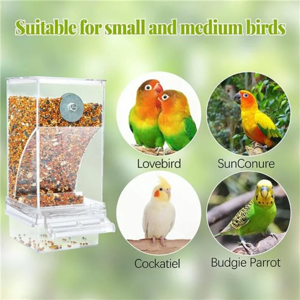 No Mess Automatic BirdFeeder Transparent FoodContainer Cage Acrylic ParrotFeeder
